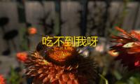 吃不到我呀